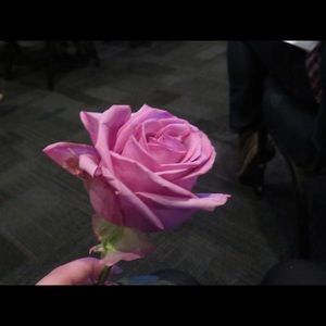 Meet your Posher, Hina